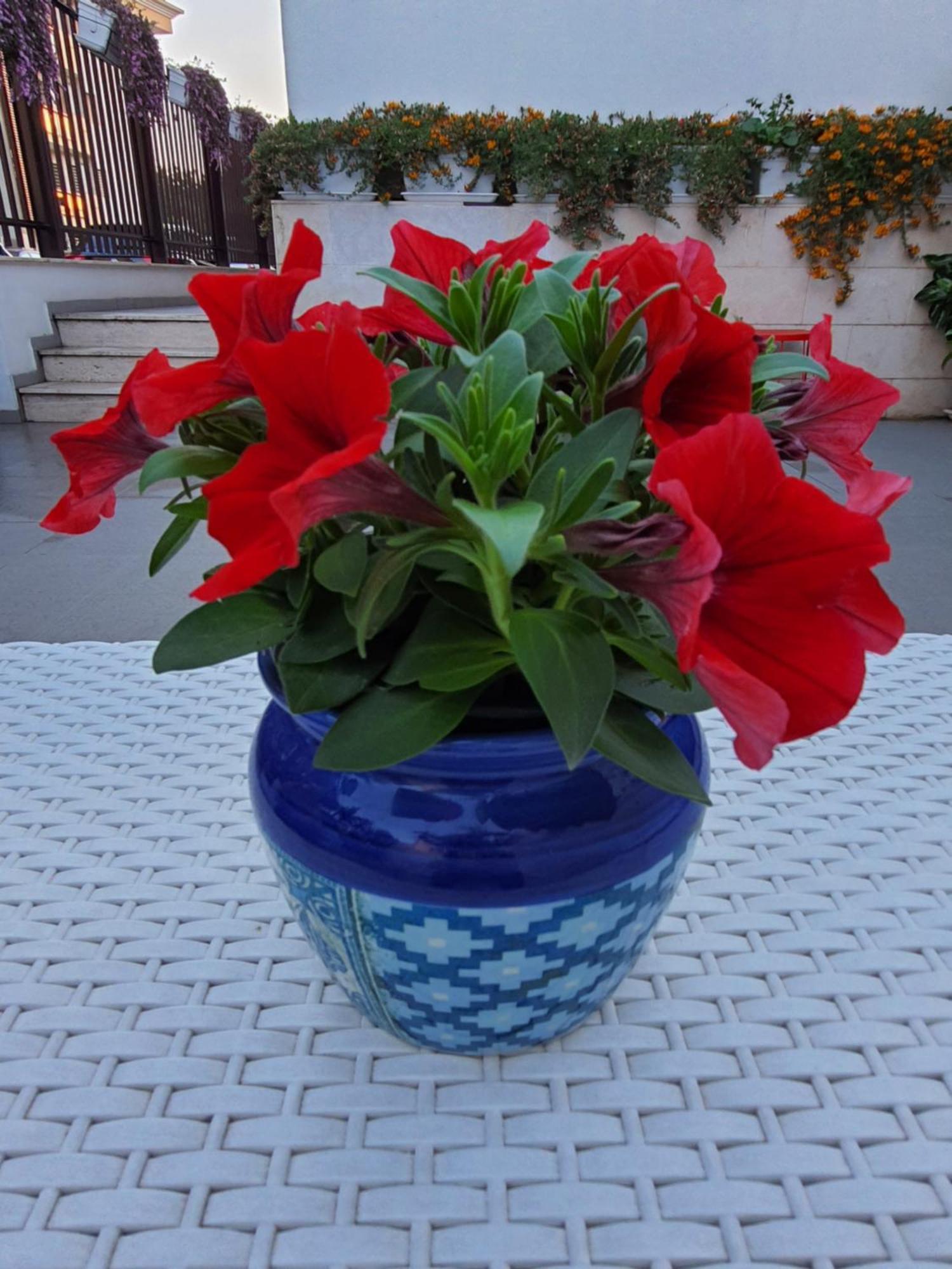 בארי Villa Cadjla B&B מראה חיצוני תמונה